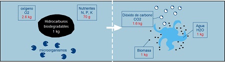 schematic biodegradation of hydrocarbons