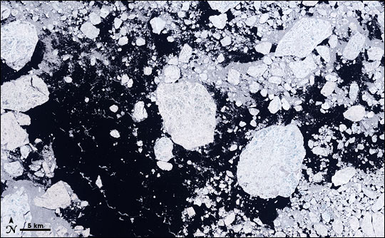 Arctic sea ice September 2008