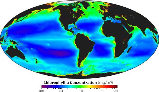 Mittleres Chlorophyll, 1997 - 2004
