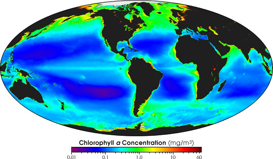 Average ocean chlorophyll, 1997 - 2004