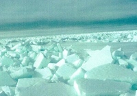 First year ice