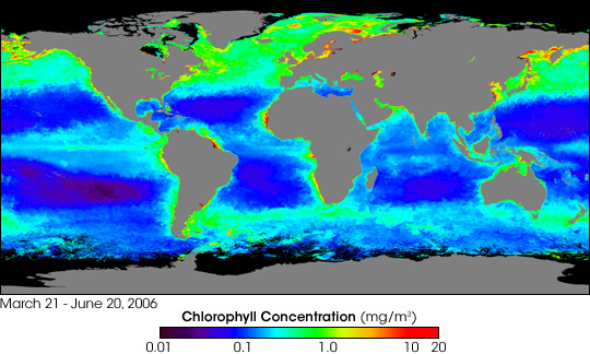 Global chlorophyll, March 21 - June 20 2006